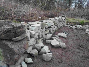 Finished result of the 1st drystone dyke. Started the day before by the mid-week group and green gym.