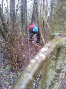 The Volunteers in the dense jungle of Carmyle New Park.