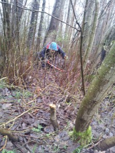 The Volunteers in the dense jungle of Carmyle New Park.