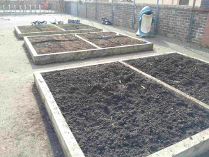 Previous plots being tended to for weeds and rubbish. 