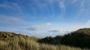 Dunes blog