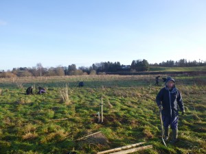 The cider orchard with planters working