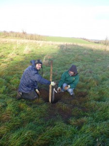 A planting pair getting their first tree in the ground with protection, stake and tie.