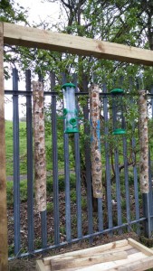 Bird feeders made from drilled birch