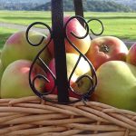 A basket of ripe apples