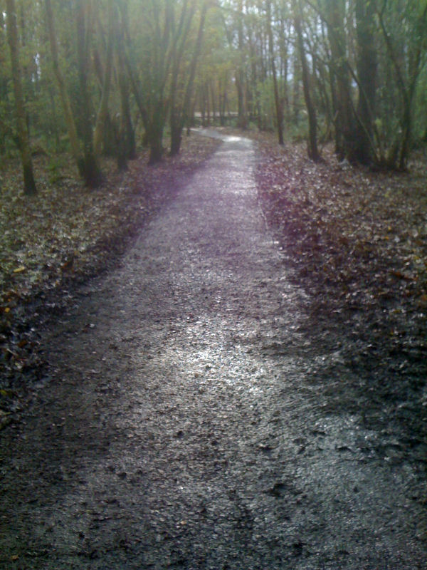 2DuchessWoods021109.jpg