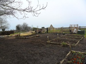 The area where the herb garden will be.