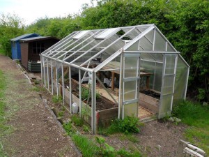 The sorry state of our greenhouse