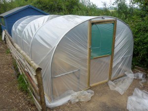 The completed polytunnel