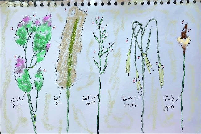 Drawing of London grass