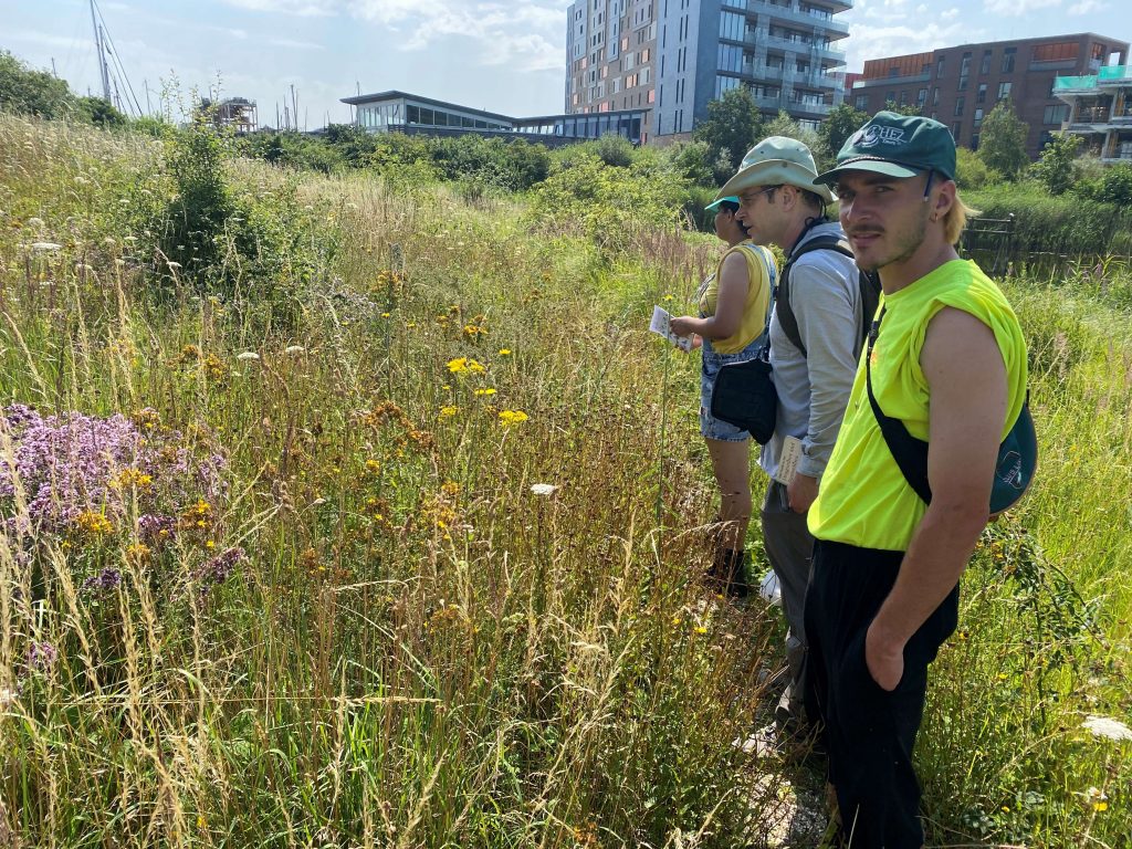 Group in a meadow with an urban background doing some surveying work 